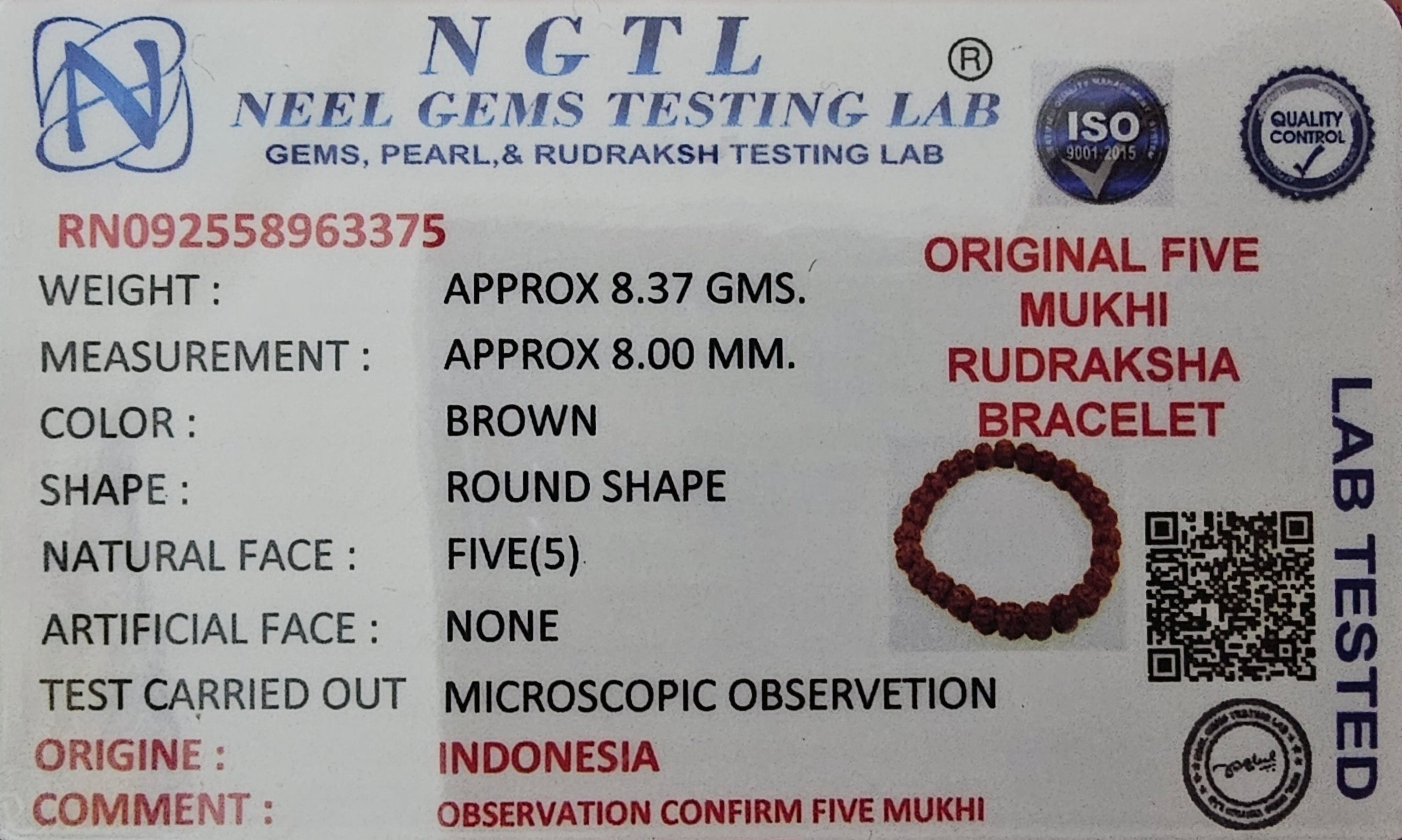 5 Mukhi Rudraksha Elastic Bracelet (NGTL Certified)