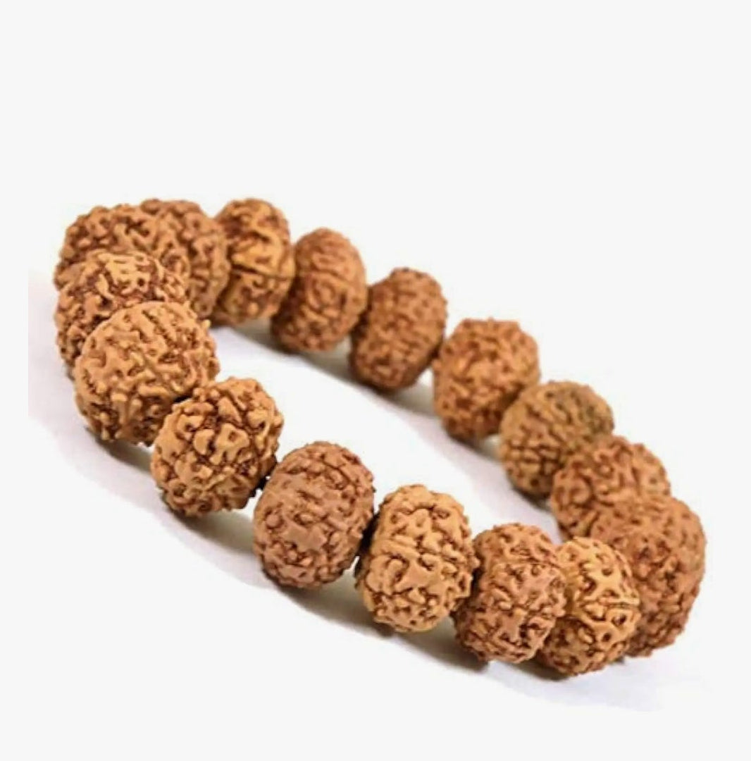 5 Mukhi Rudraksha Elastic Bracelet (NGTL Certified)